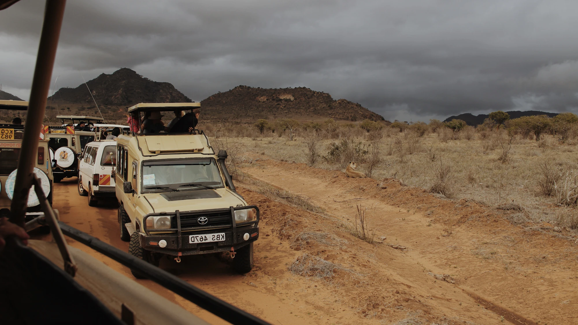 Safari vehicles on a dirt road