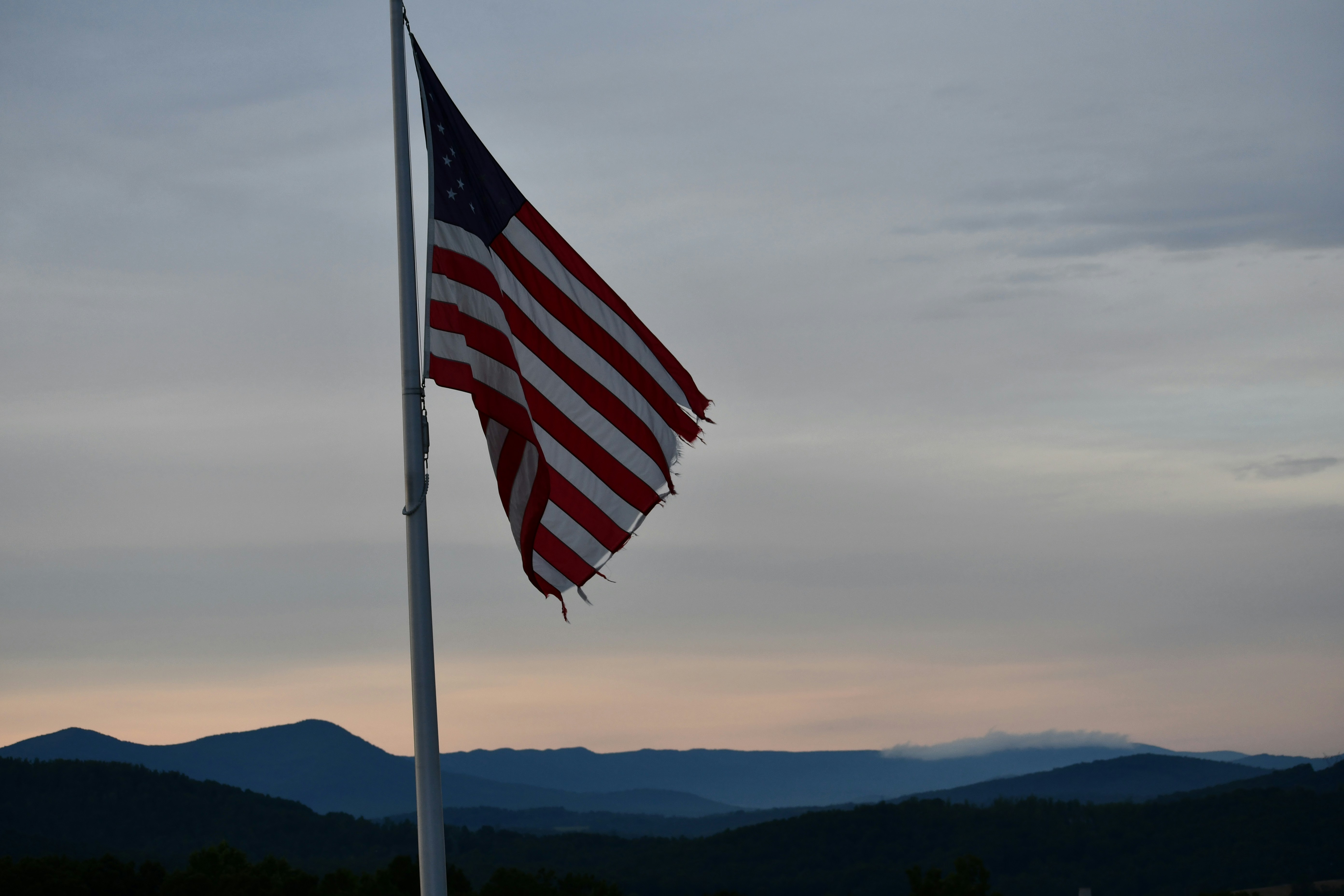 a flag on a pole