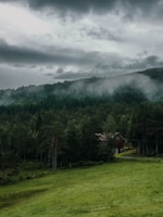 A cozy cottage nestled among lush green trees with mist rolling over the hills in the background.