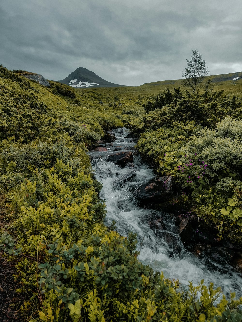 a river running through a valley