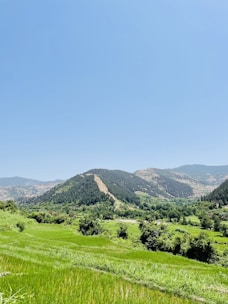 A serene landscape showcasing lush green fields and clear skies.