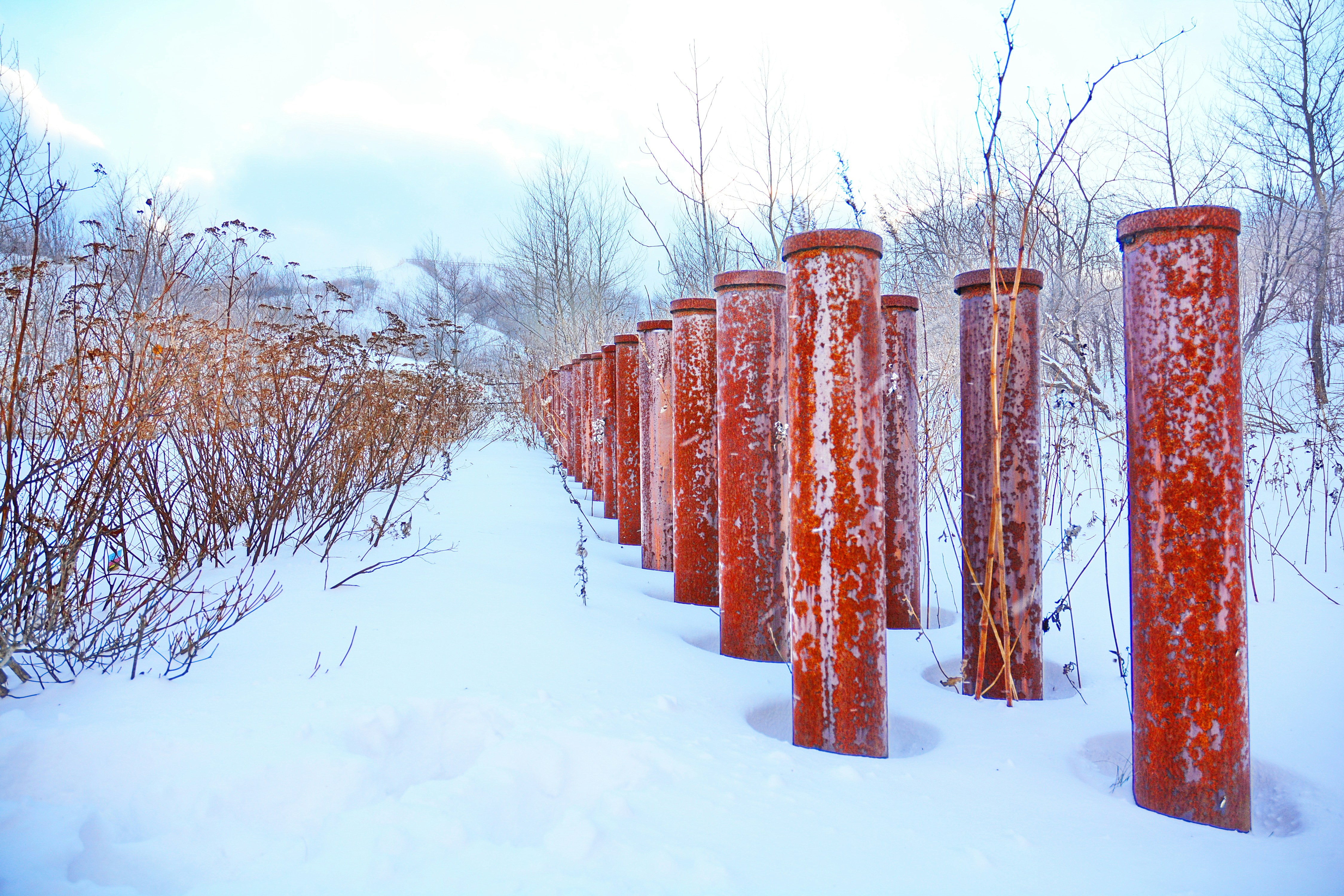 눈 속의 붉은 기둥 줄
