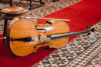 Violin and Cello Duet
