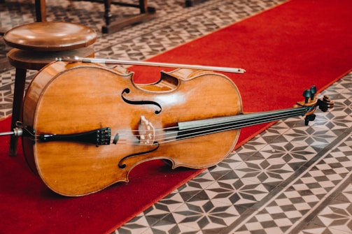 Violin and Cello Duet