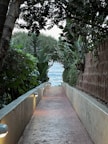 A tranquil pathway leading through tropical plants towards the glamping tents by the water on the island.