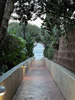 Romantic pathway lined with tropical flowers leading to a secluded villa.