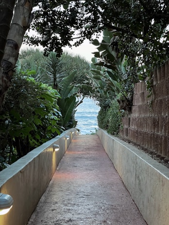 Romantic pathway lined with tropical flowers leading to a secluded villa.