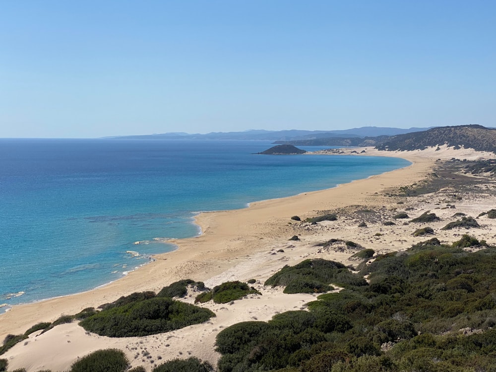 a beach with a body of water