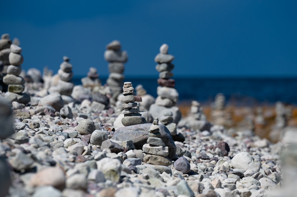 a group of rocks on a beach