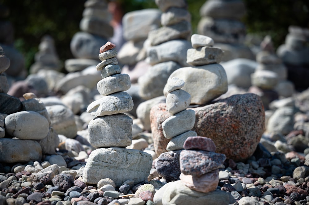 Un primer plano de algunas rocas