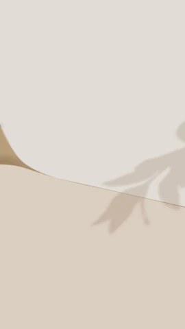 leaf shadow on beige wall
