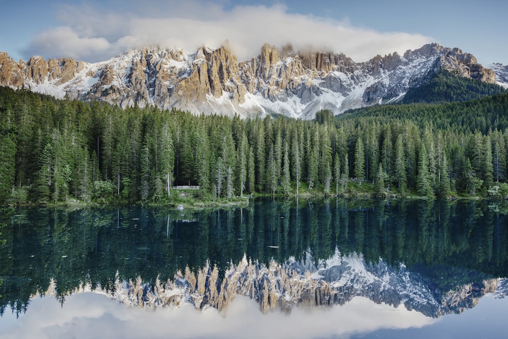 a pond with a mountain in the background