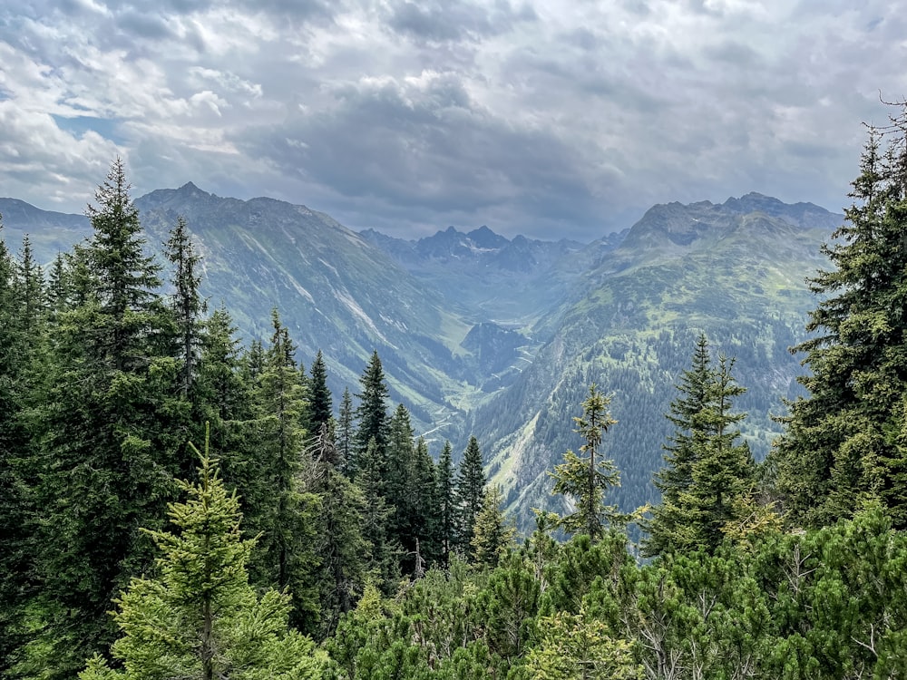 a view of a valley with trees and mountains in the background