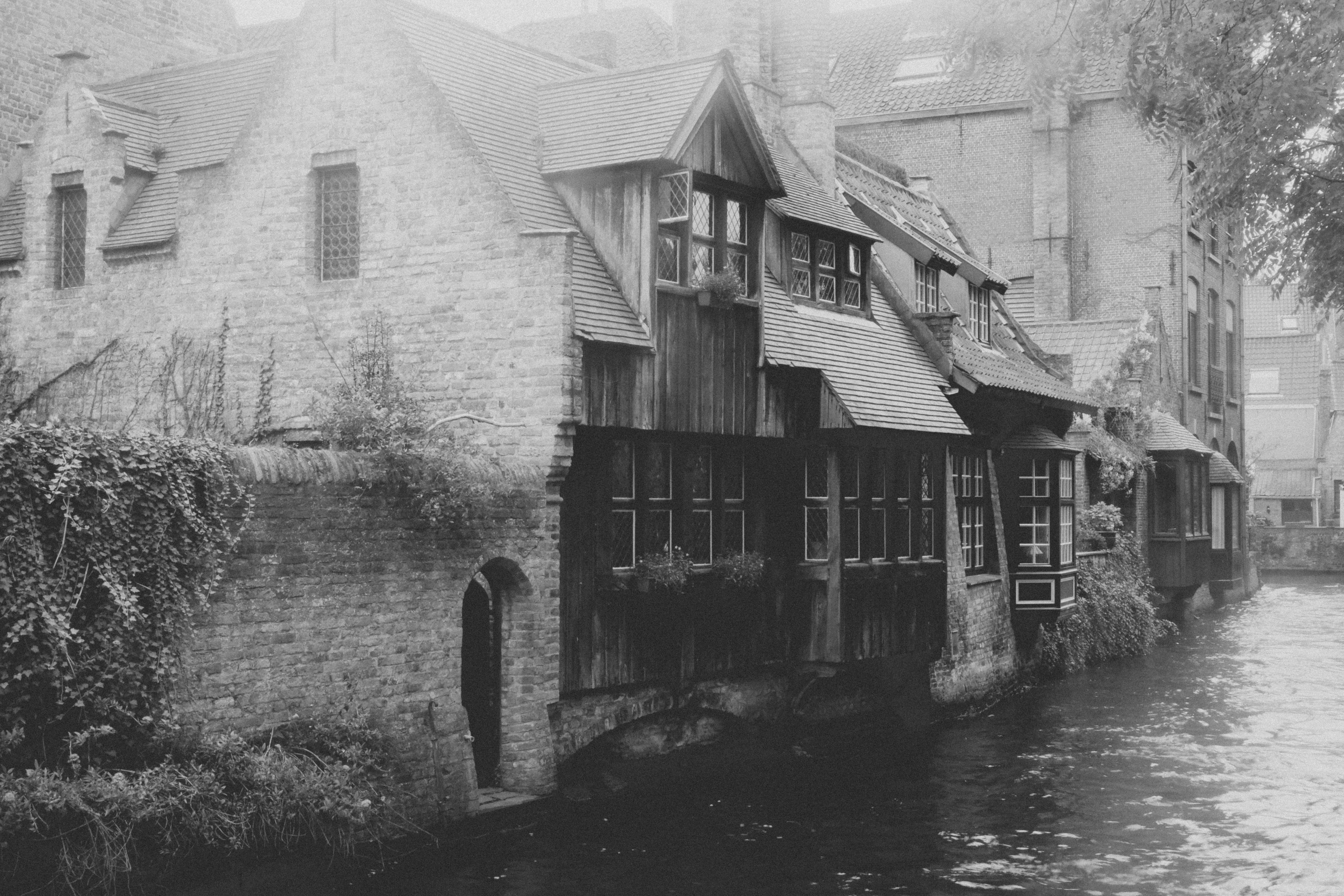 Photo by yohannlibot