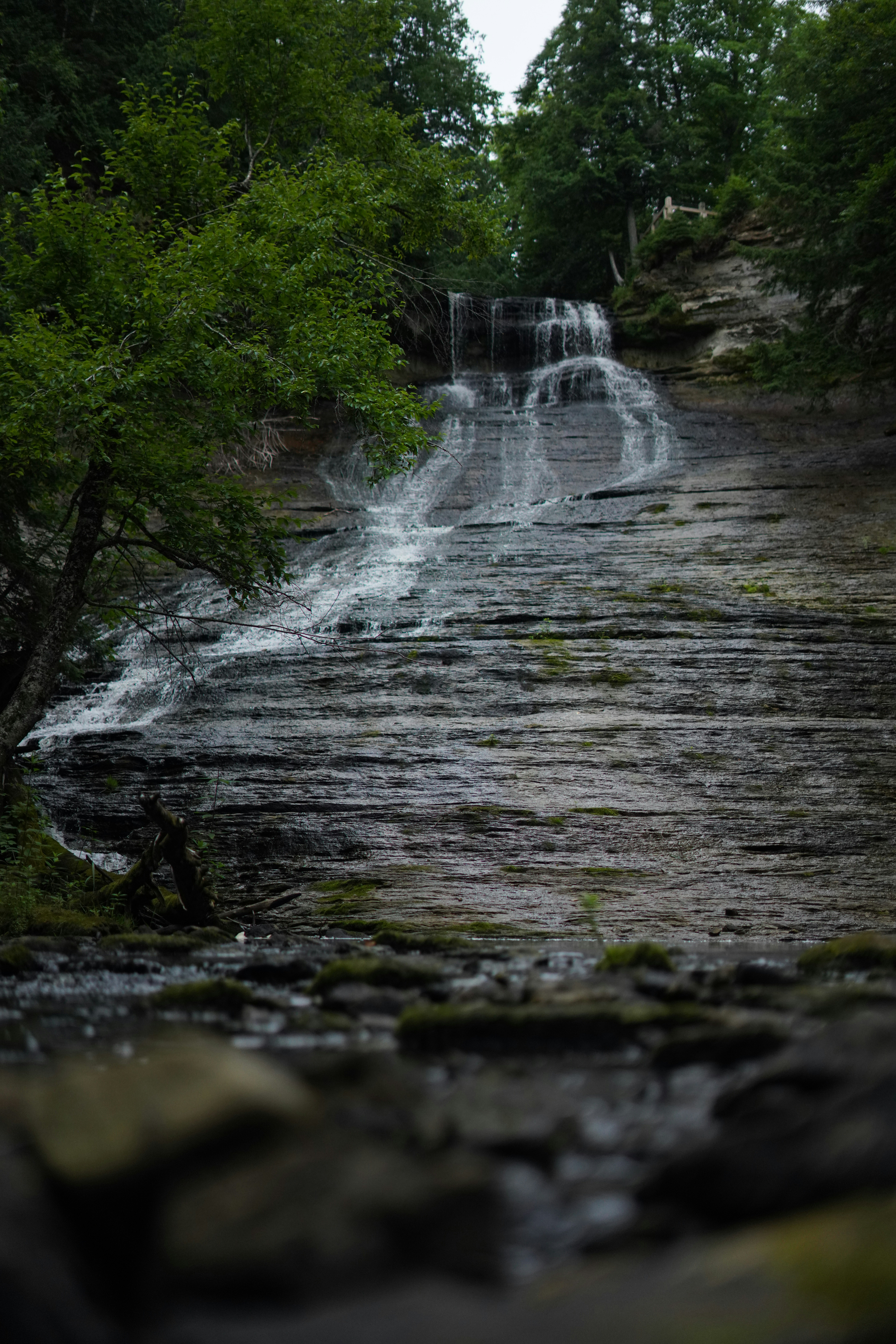 a waterfall in a forest