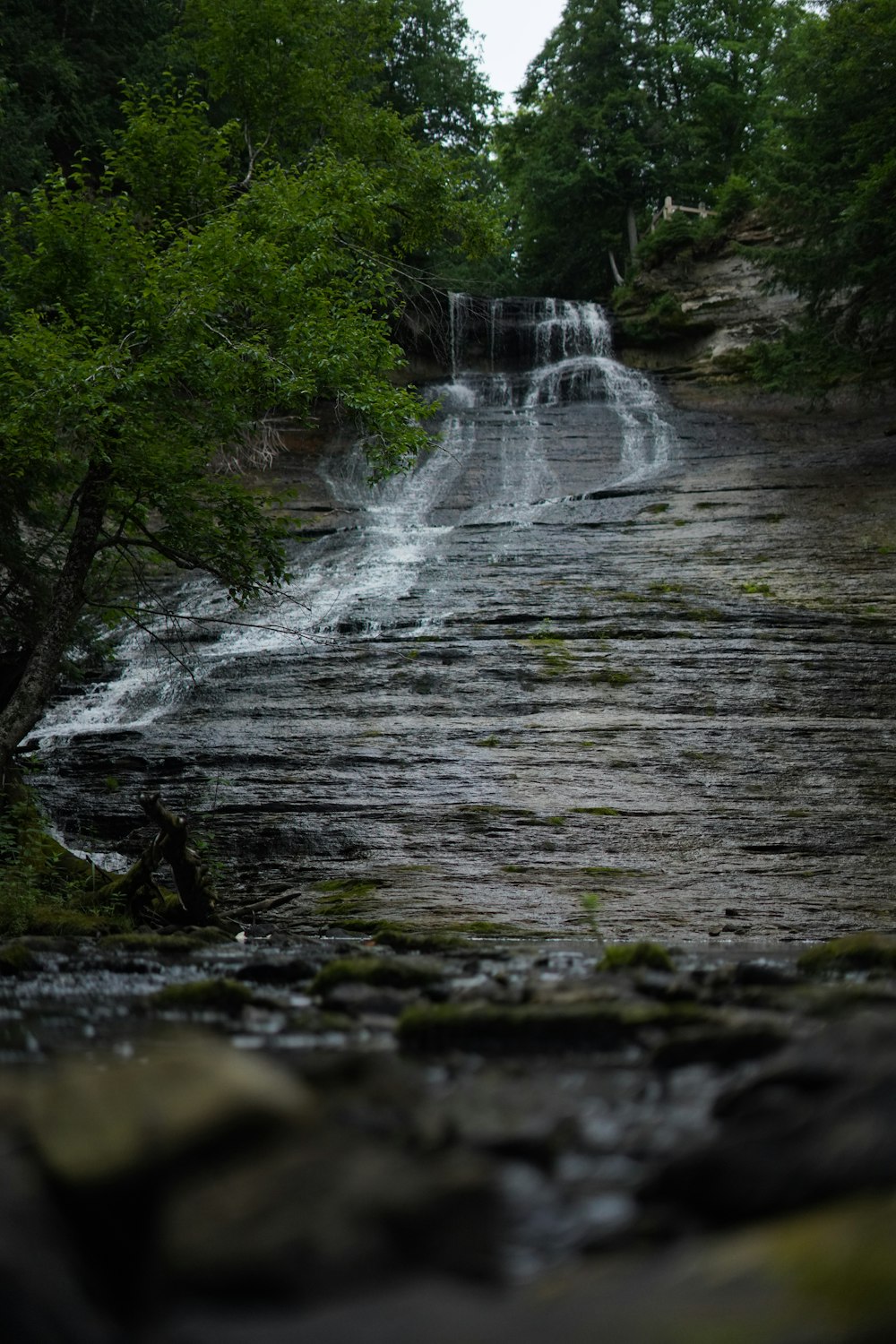 a waterfall in a forest