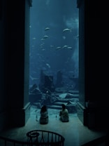 A large aquarium with an underwater scene featuring various fish swimming above ancient ruins. Two people are seated on the floor, gazing at the aquatic life, with water bottles placed beside them. The setting is framed by a dark entrance, creating a tunnel-like effect leading to the blue-lit underwater vista.