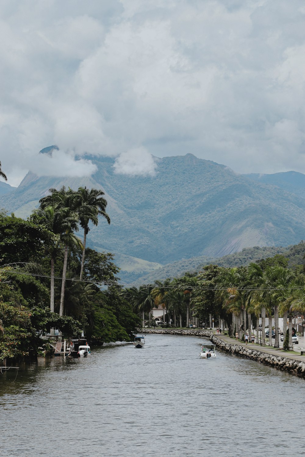 a body of water with boats and trees by it