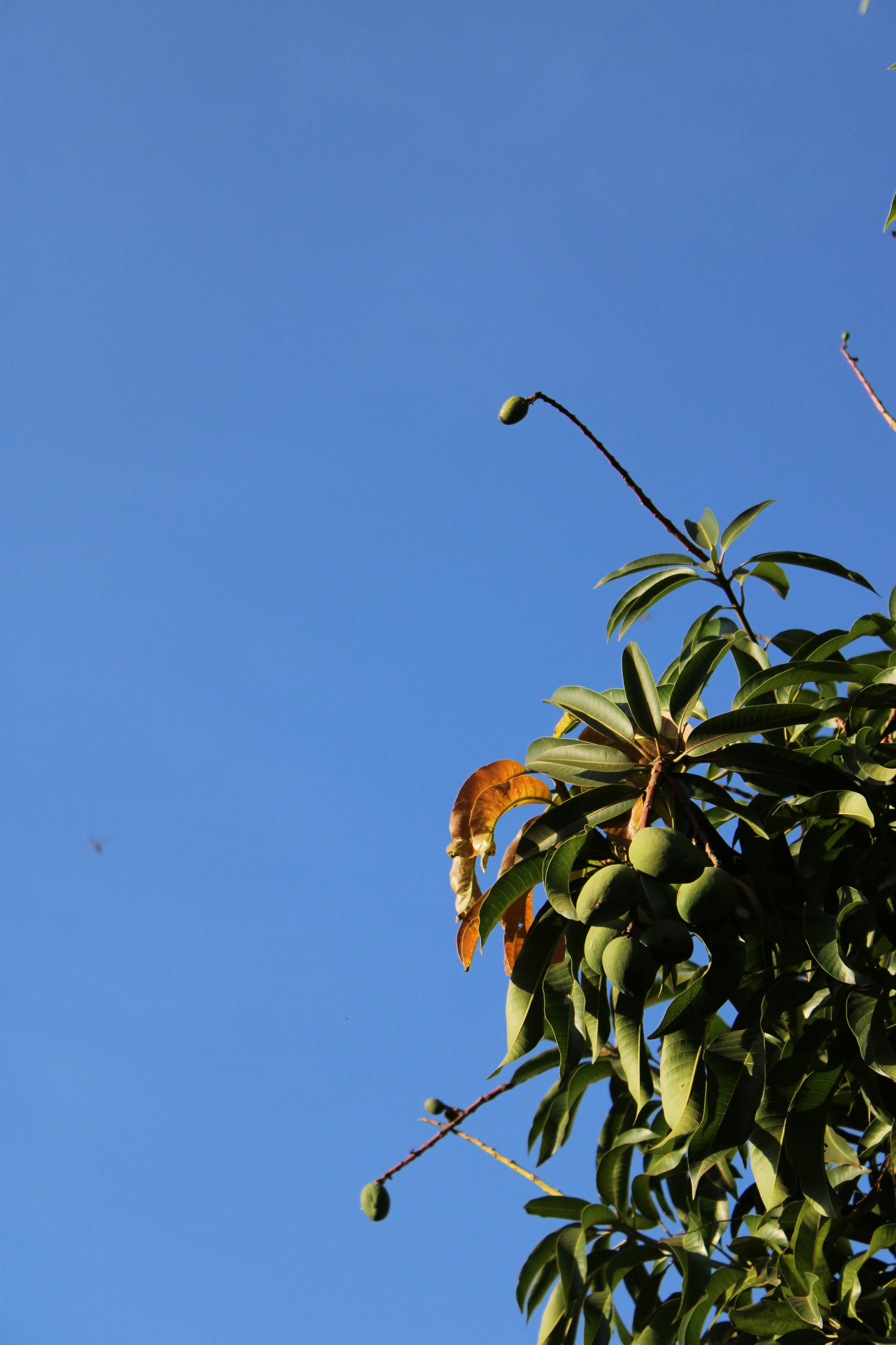 Photo by locosenorita