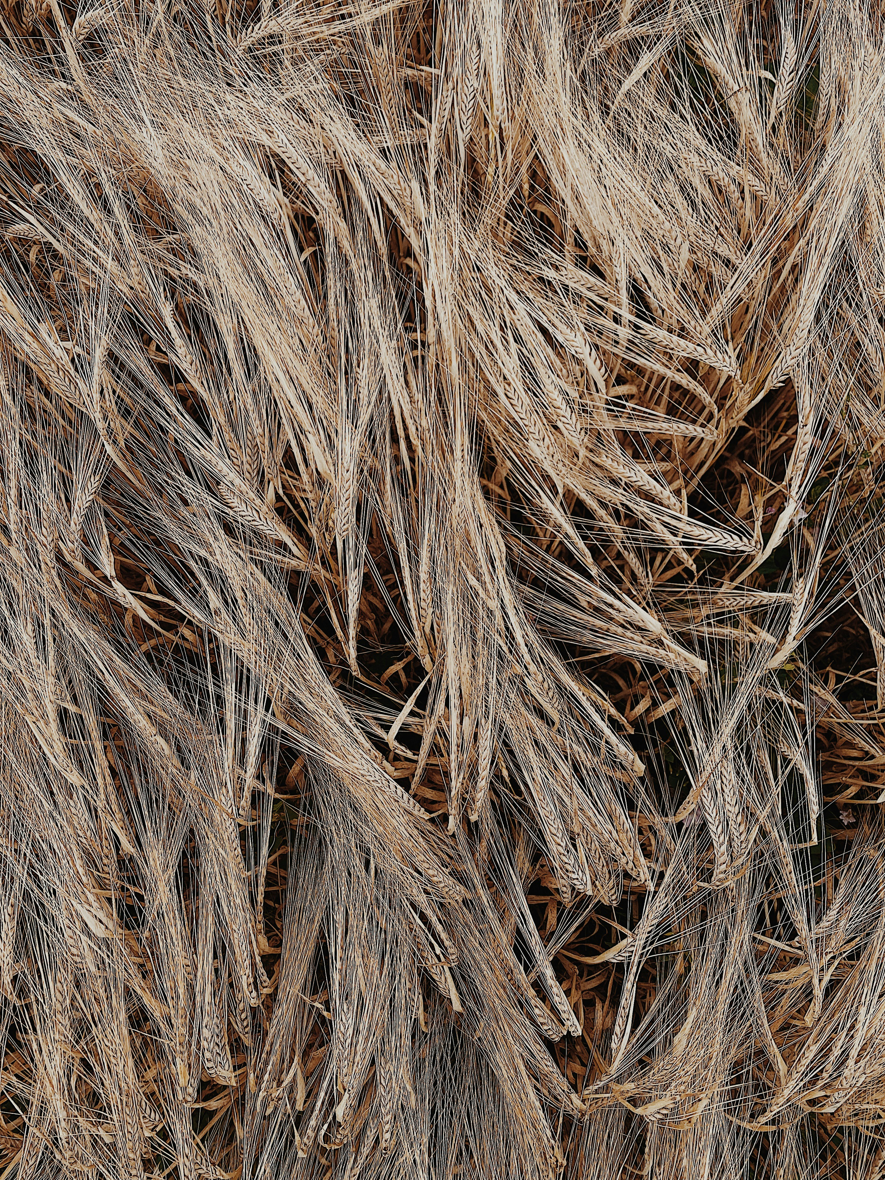 Photo by e_christensen