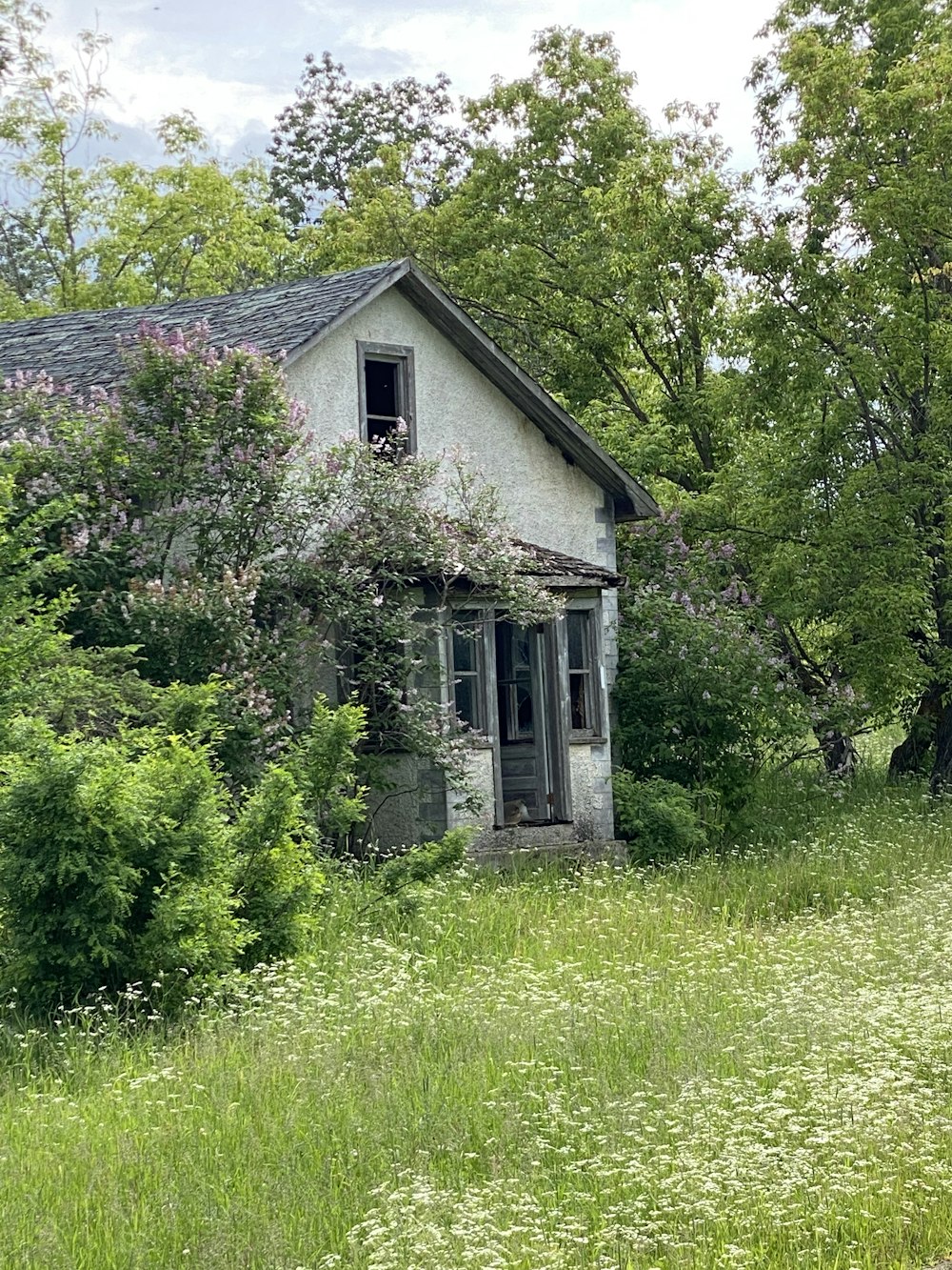 a house with trees around it