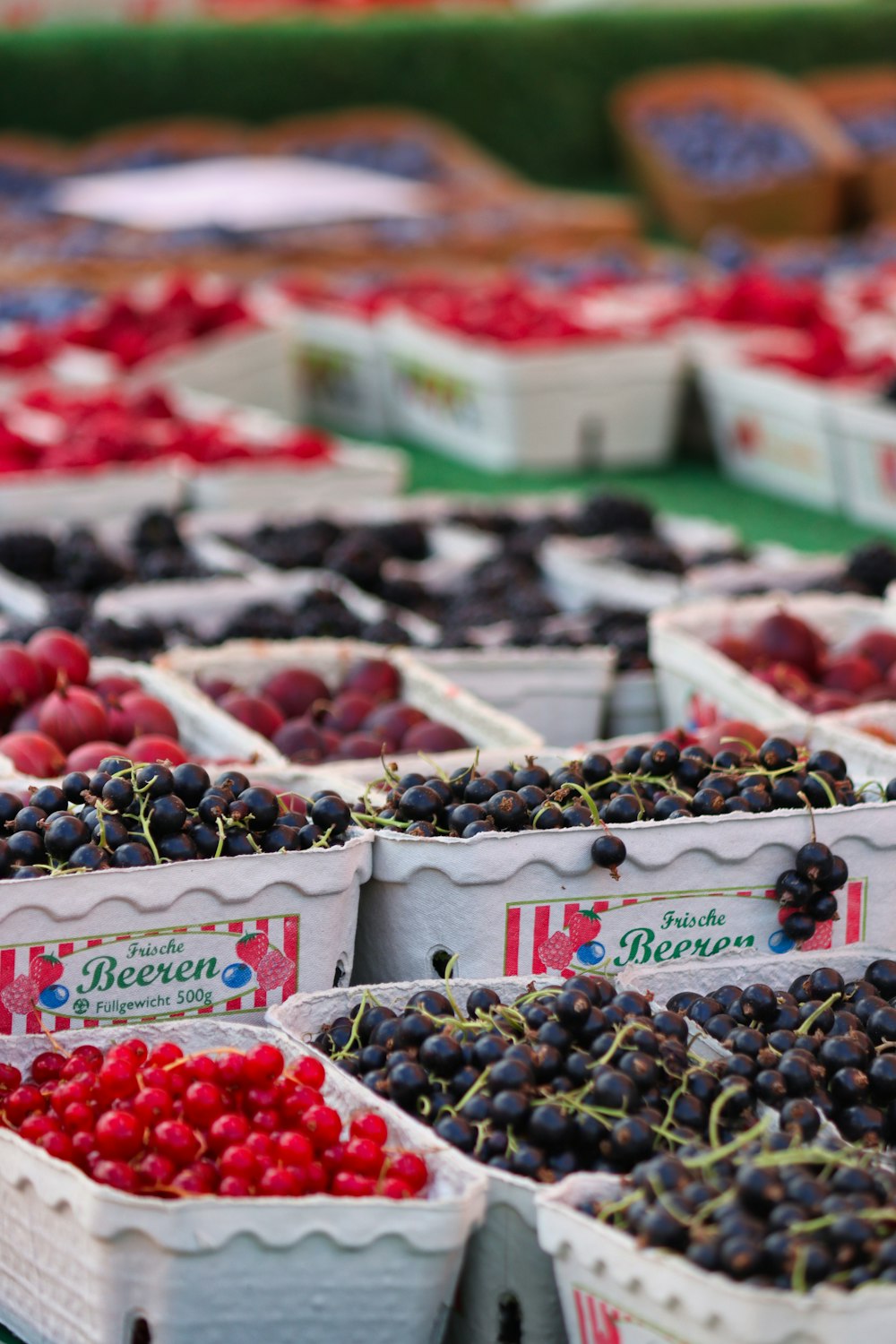 a display of fruits