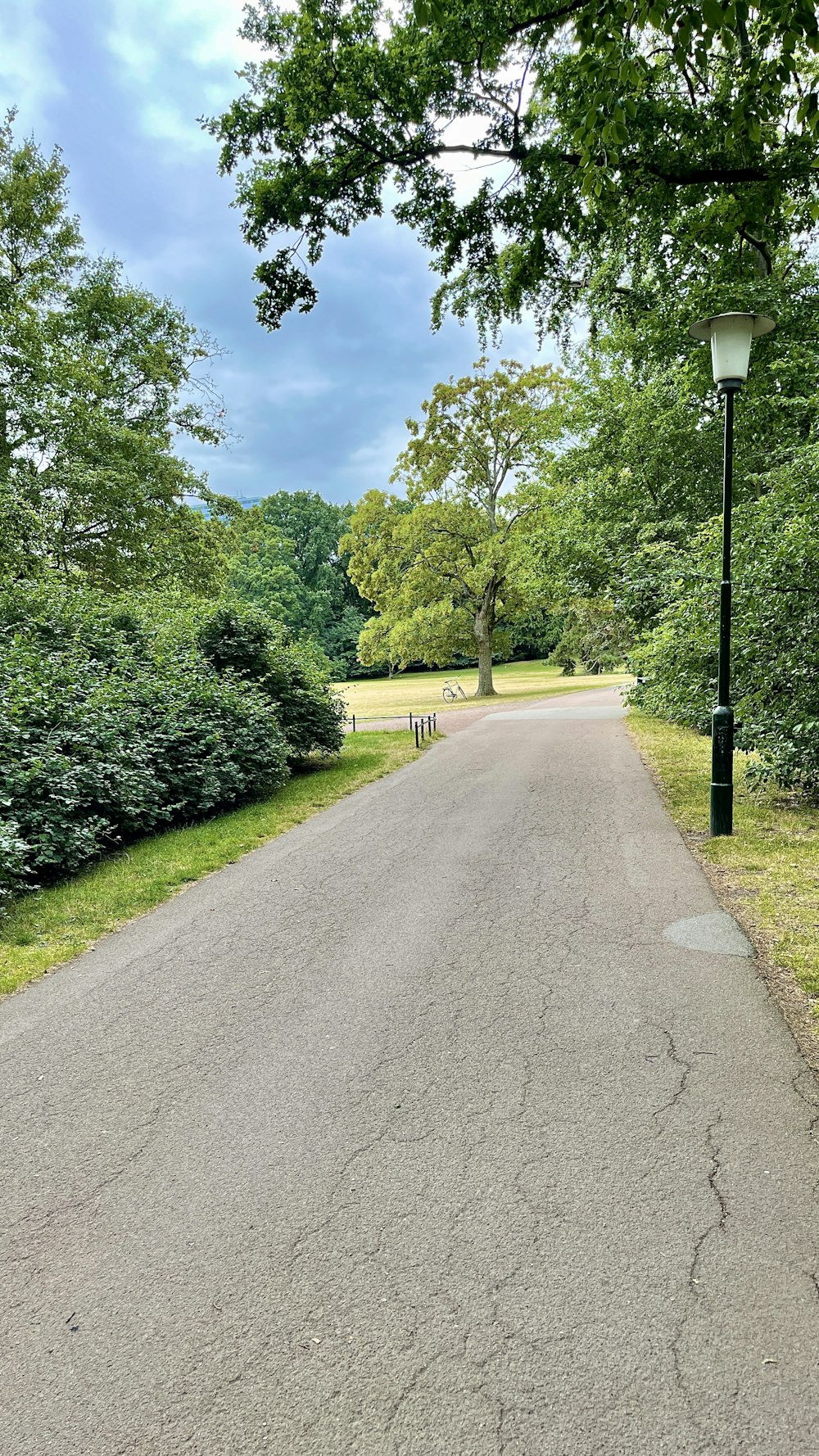 a road with trees on the side