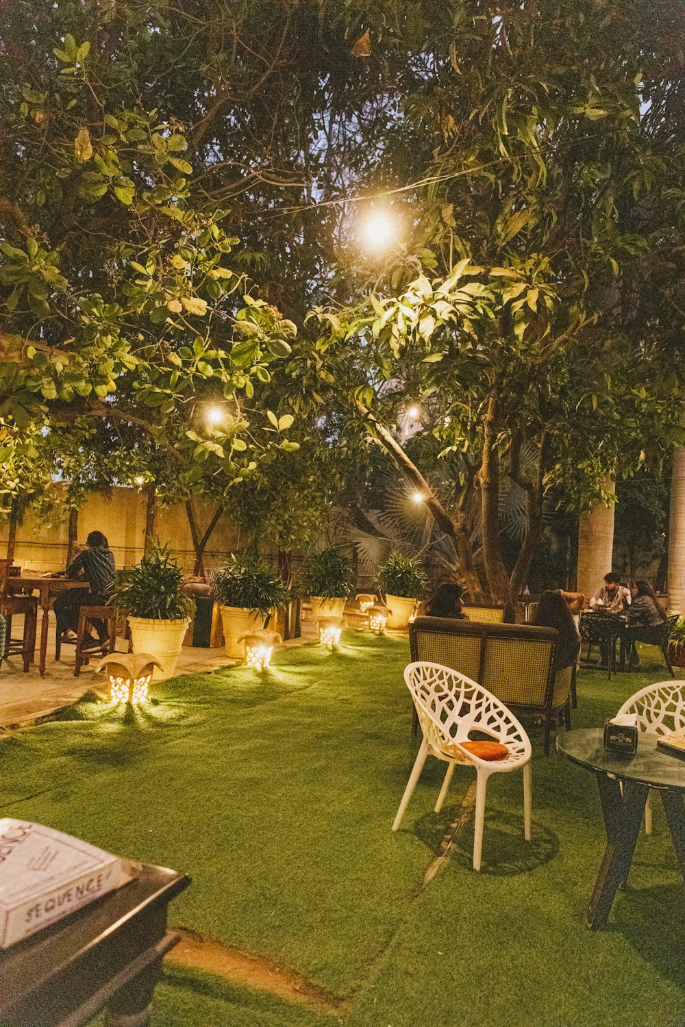 a group of people sitting at tables under a tree