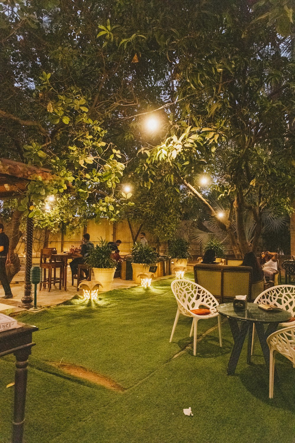 a group of people sitting at tables under a tree