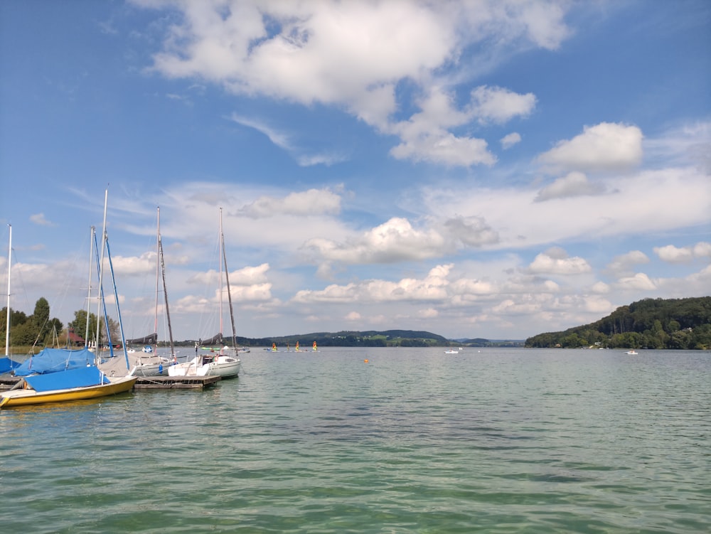 a group of boats on the water