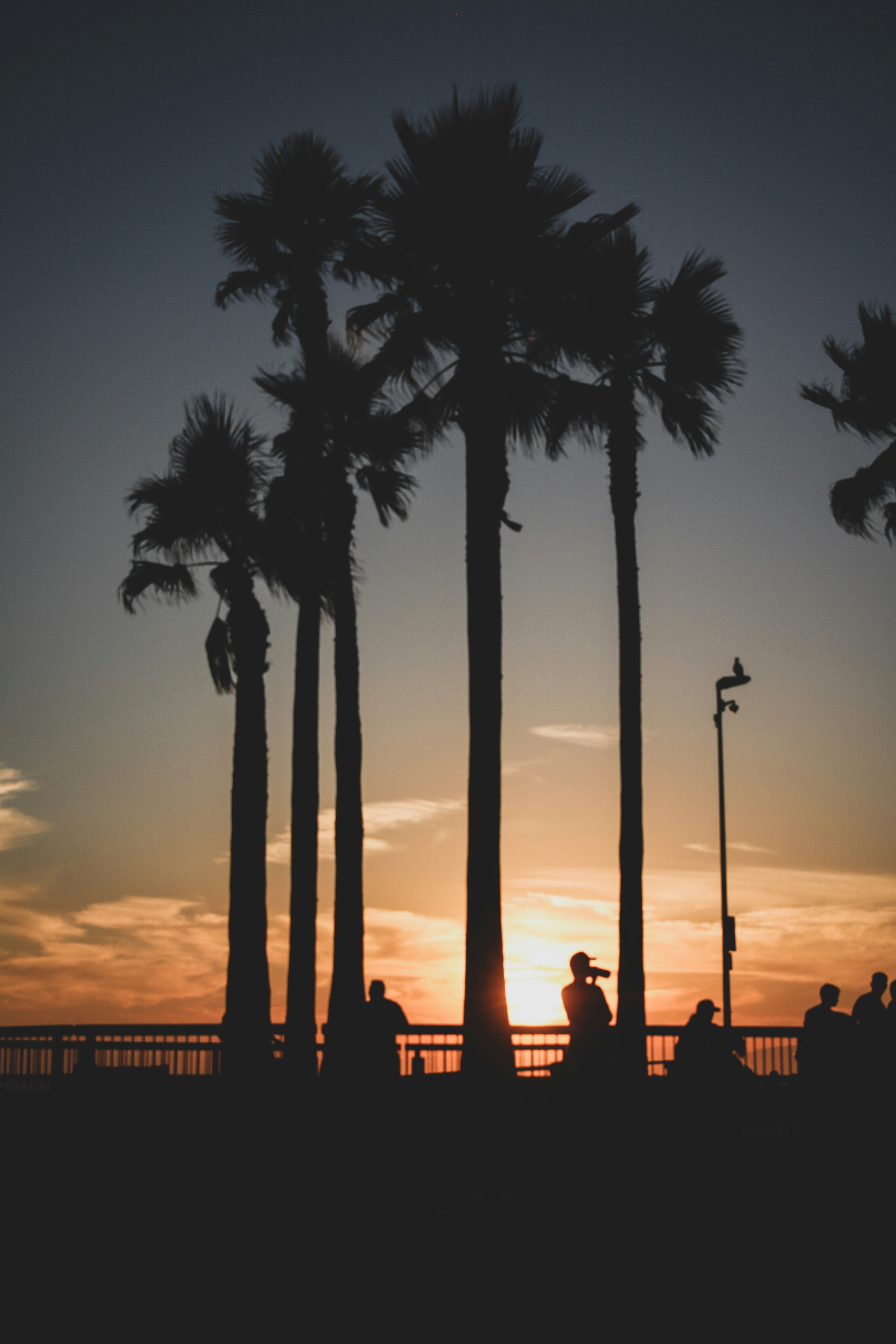 Photo by johnnytapia