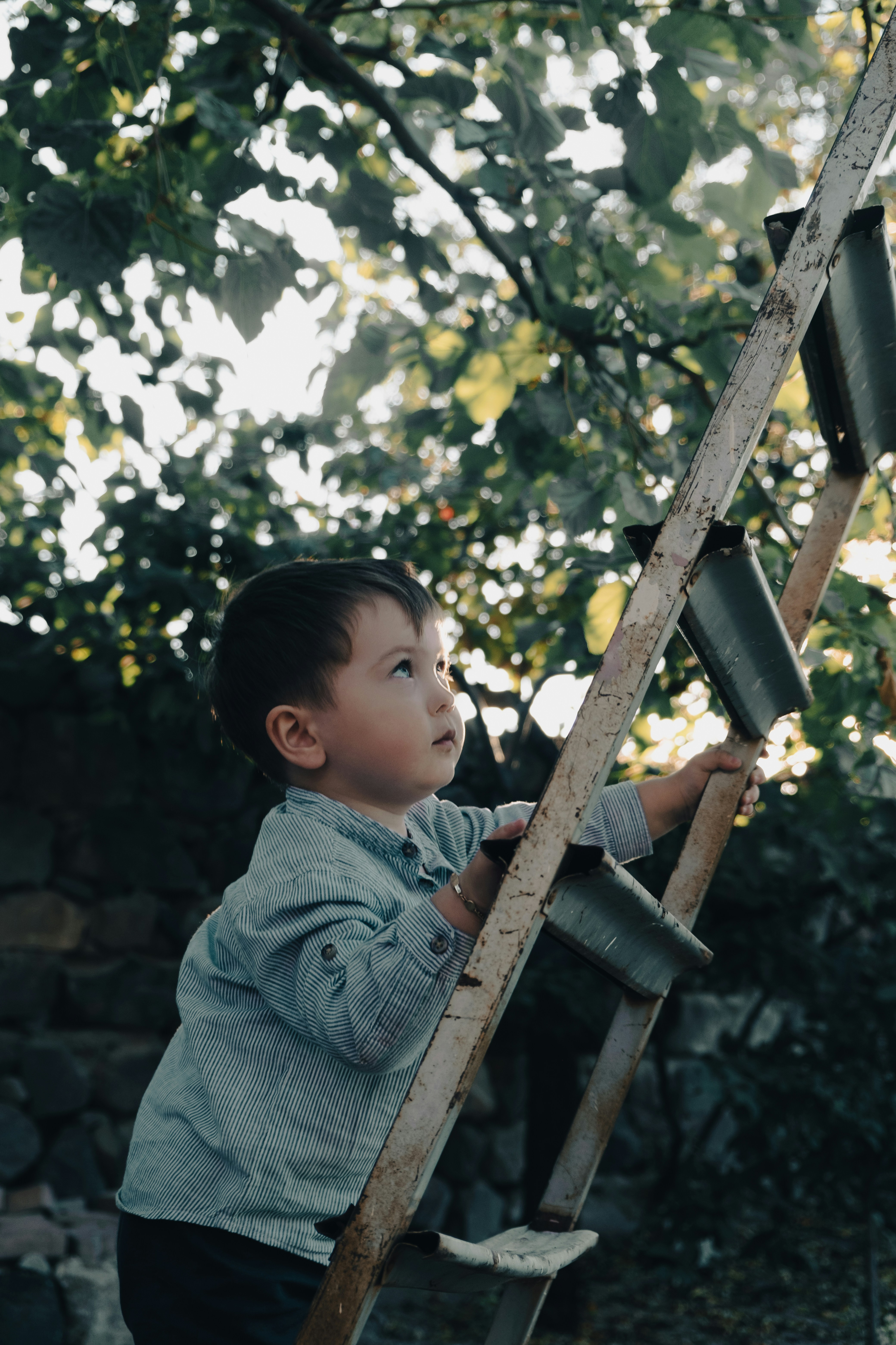 A toddler boy looks up a ladder. He's poised to climb it, maybe. 