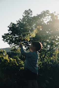 a child holding a leaf