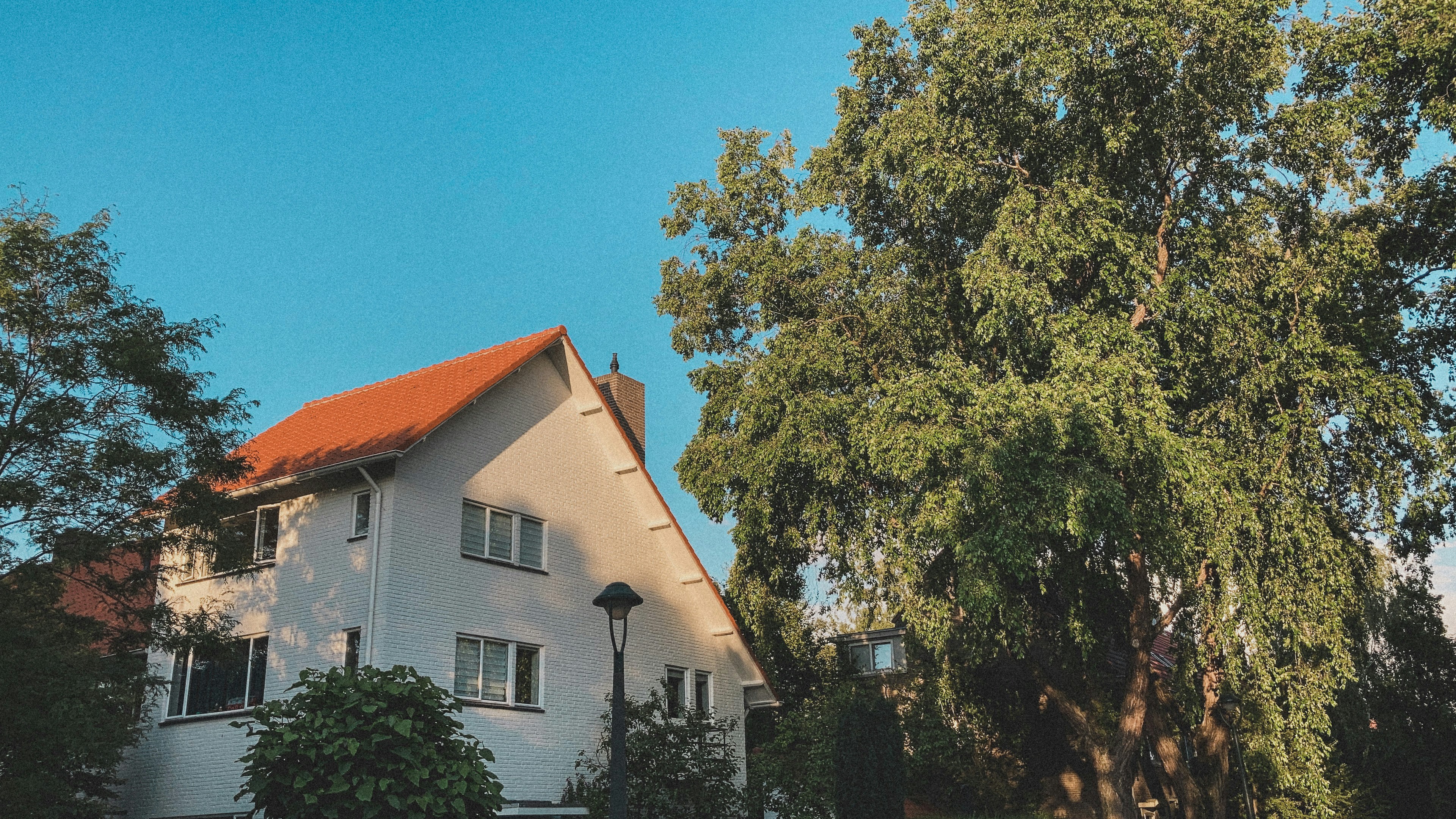 Photo by busselommers