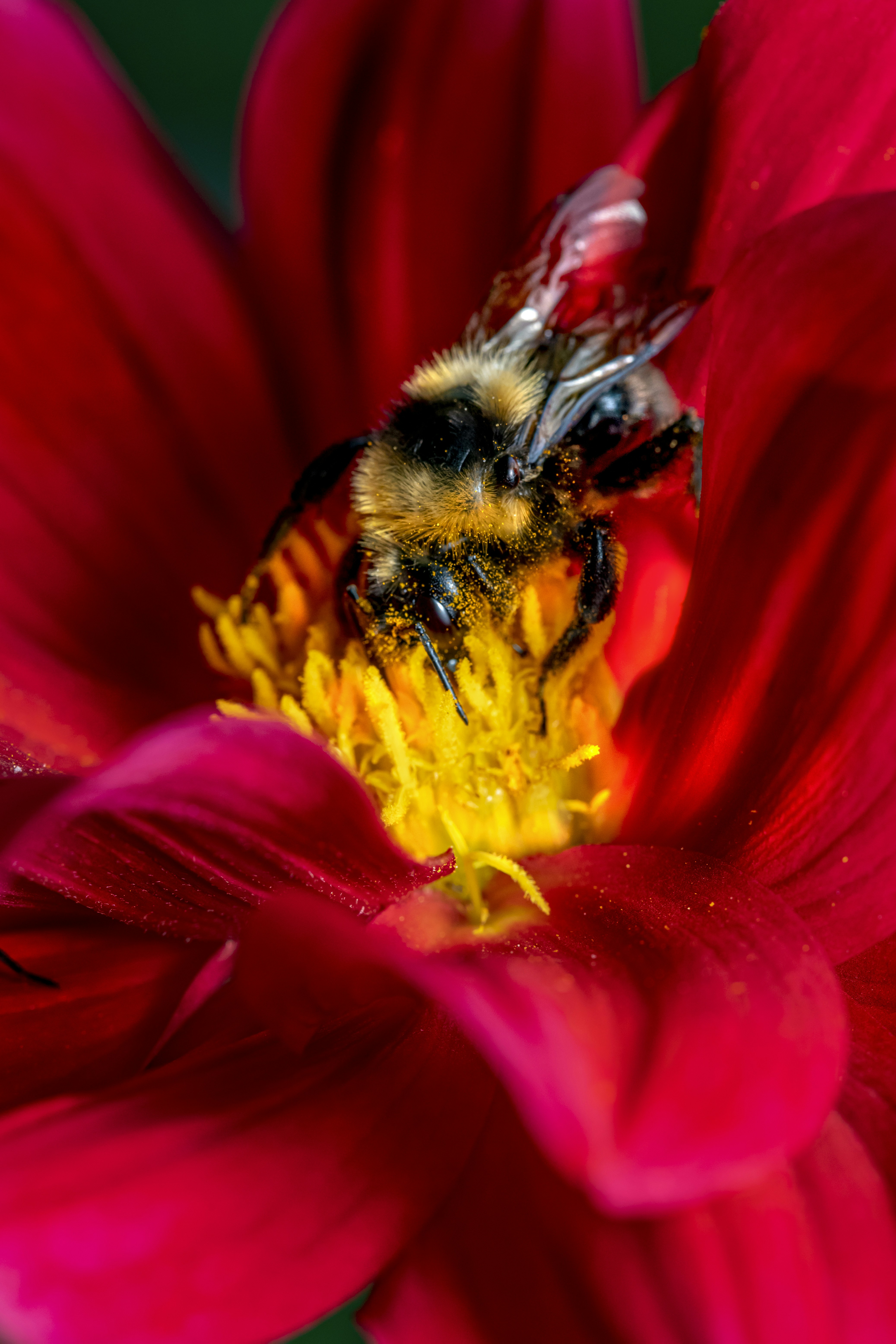 Photo by erik_karits