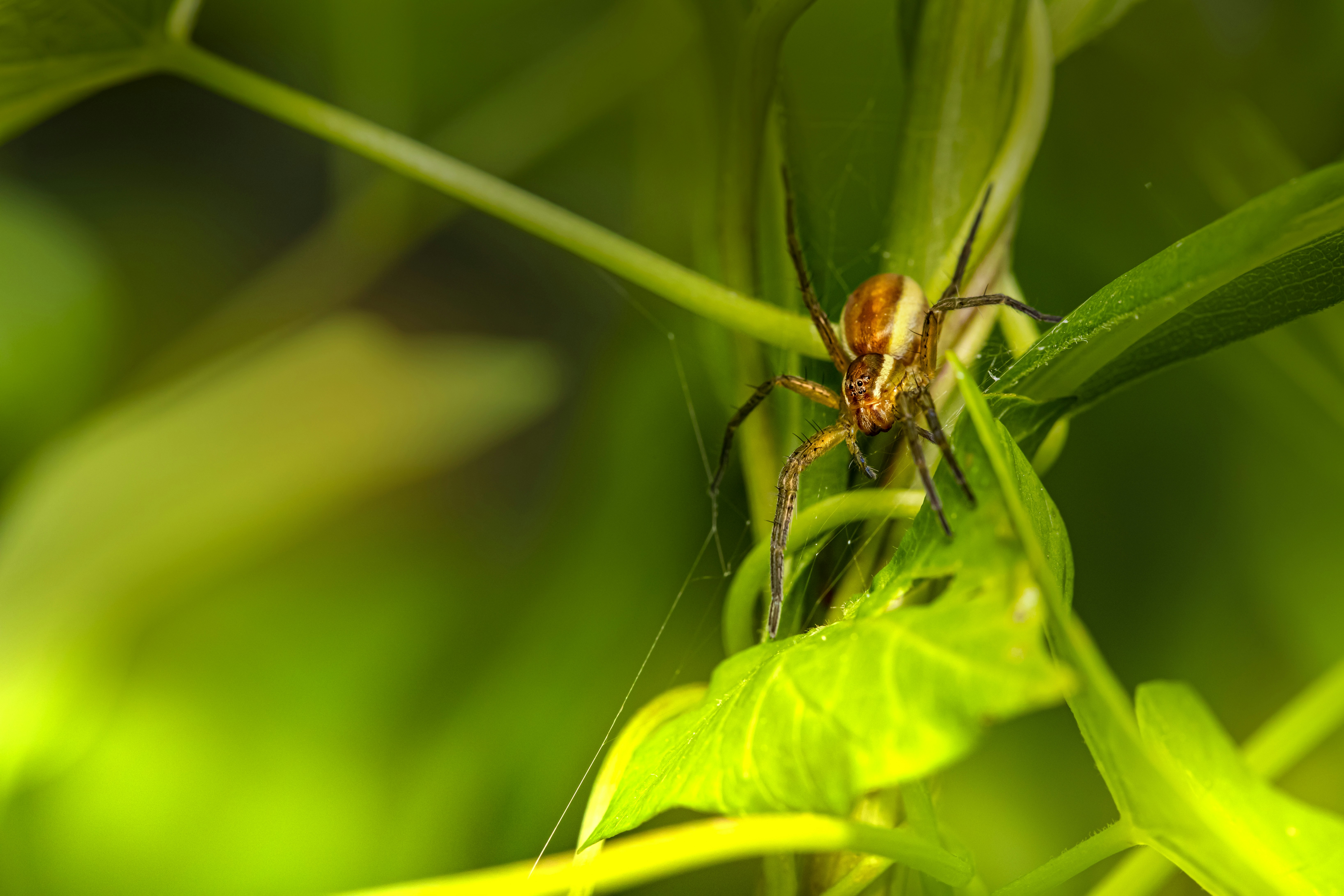 Photo by erik_karits