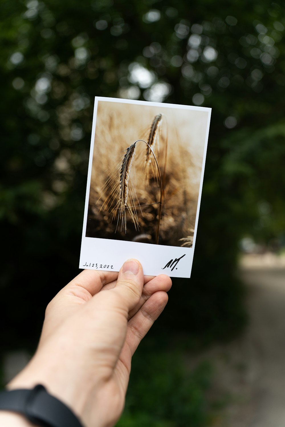 a hand holding a card