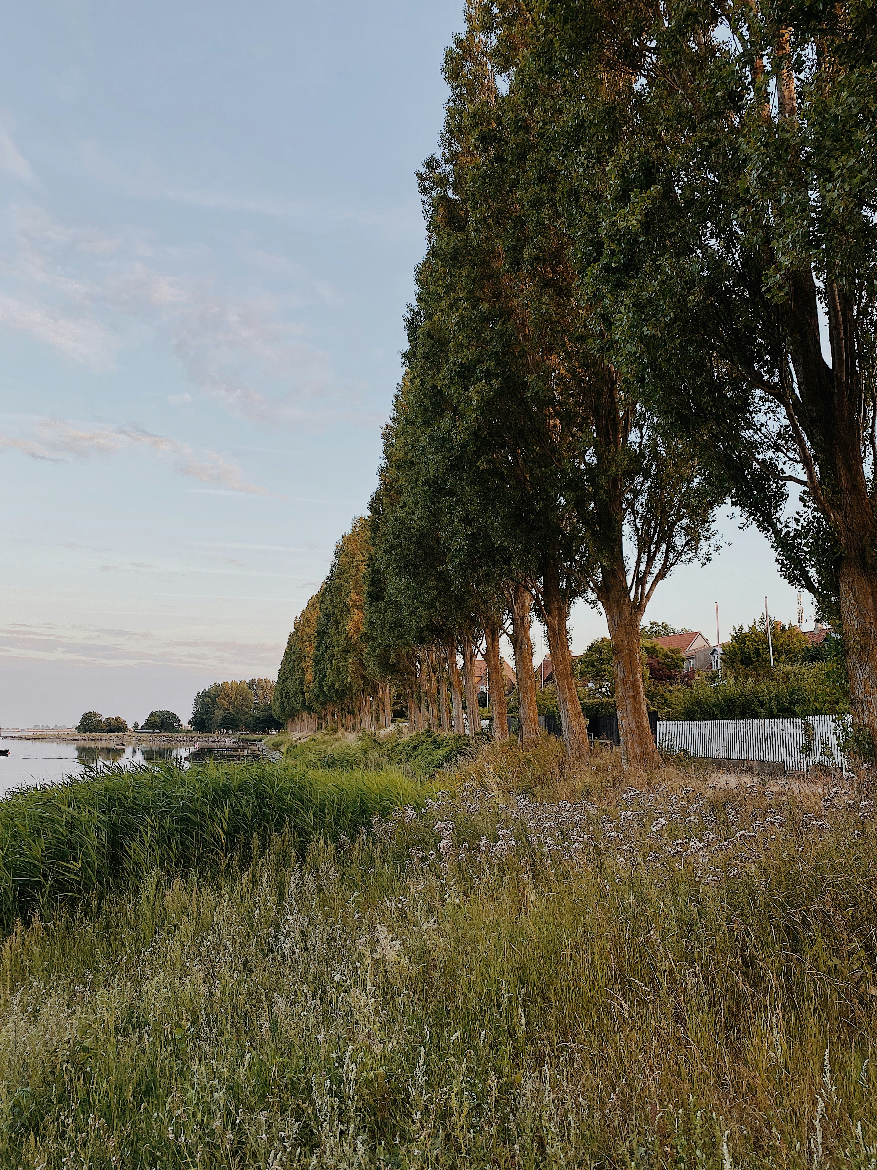 Photo by e_christensen