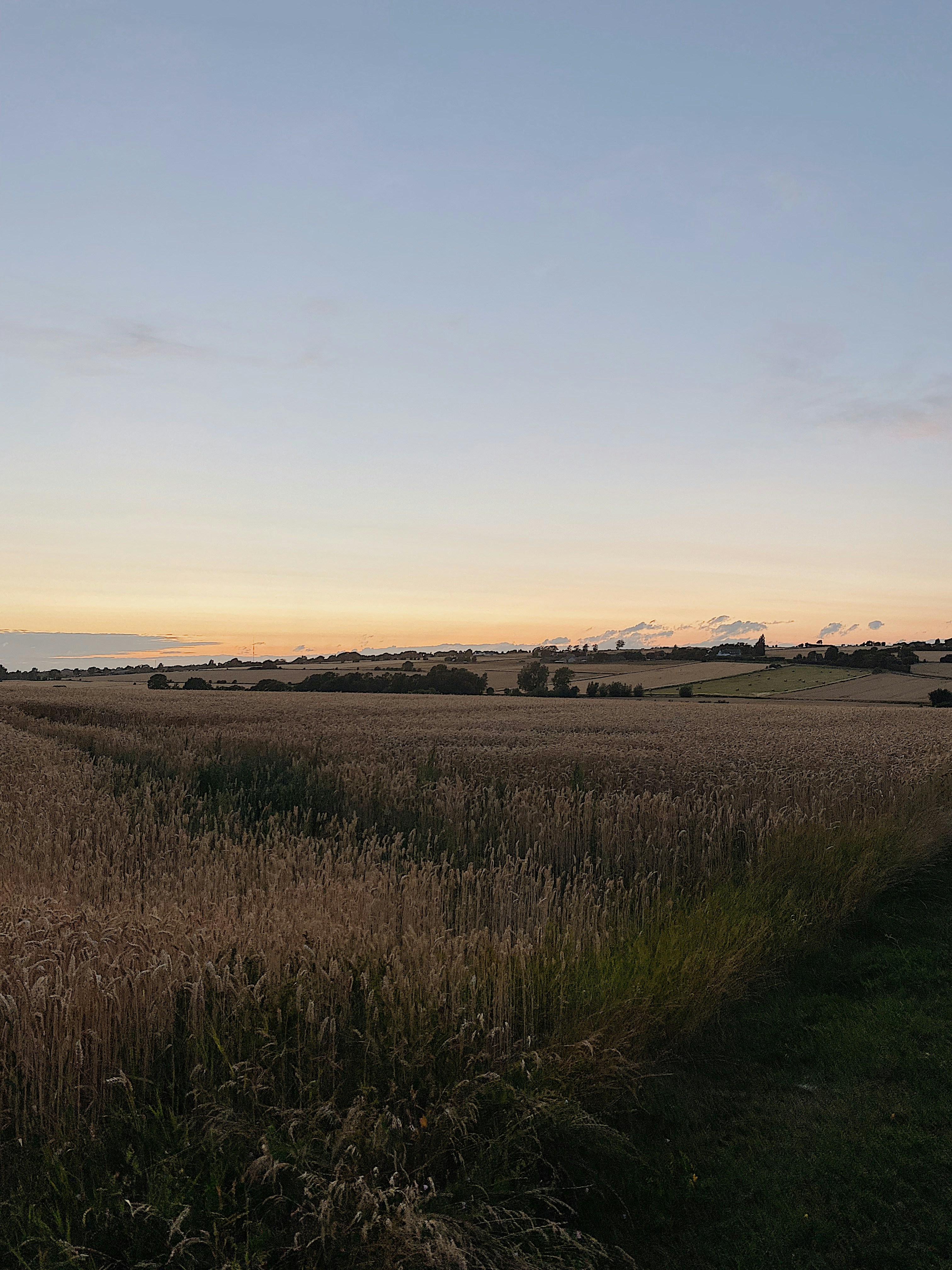 Photo by e_christensen