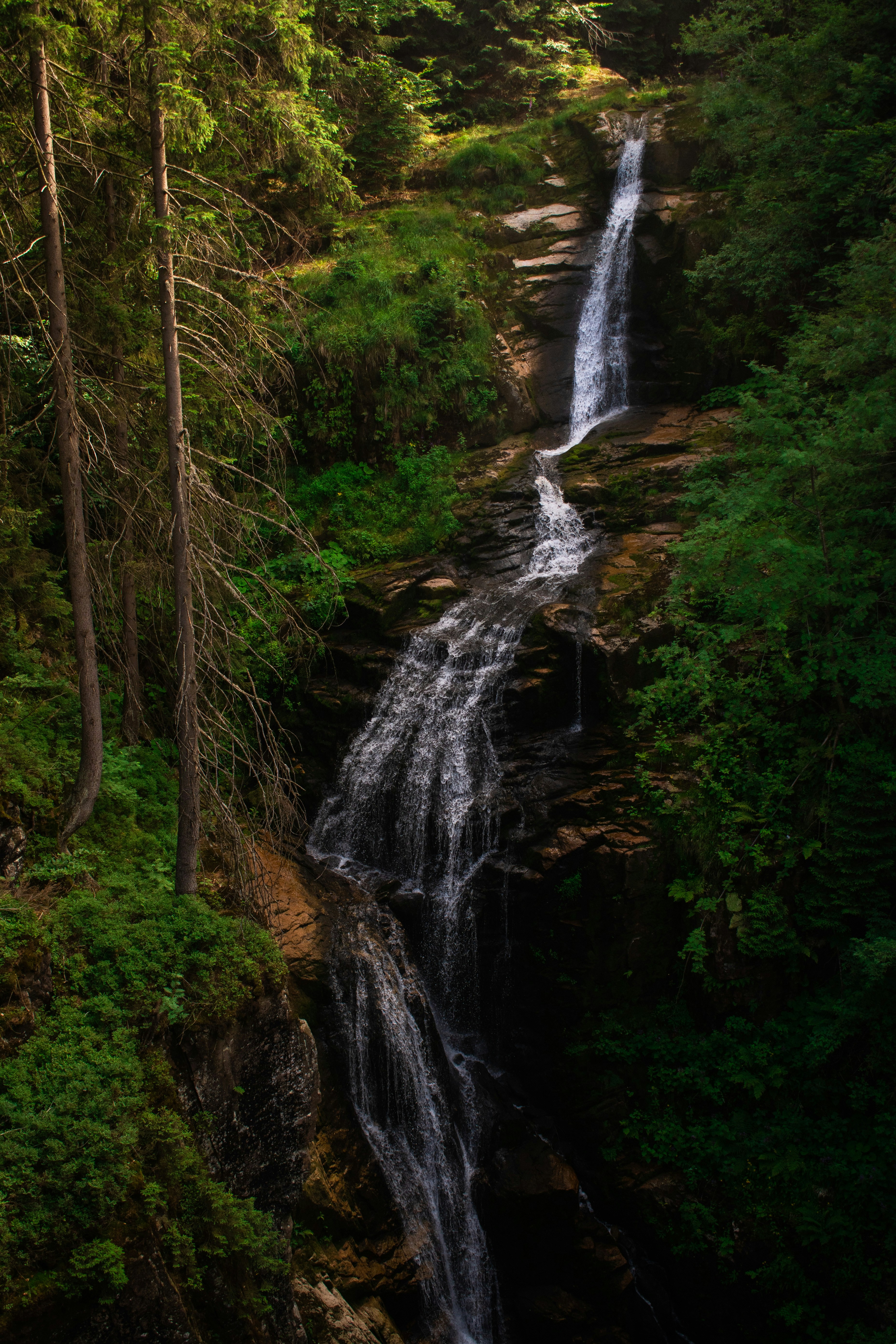 Photo by lukaskonvica