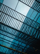 looking up at a glass ceiling
