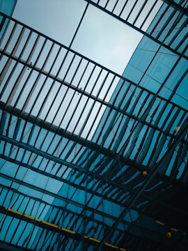 looking up at a glass ceiling