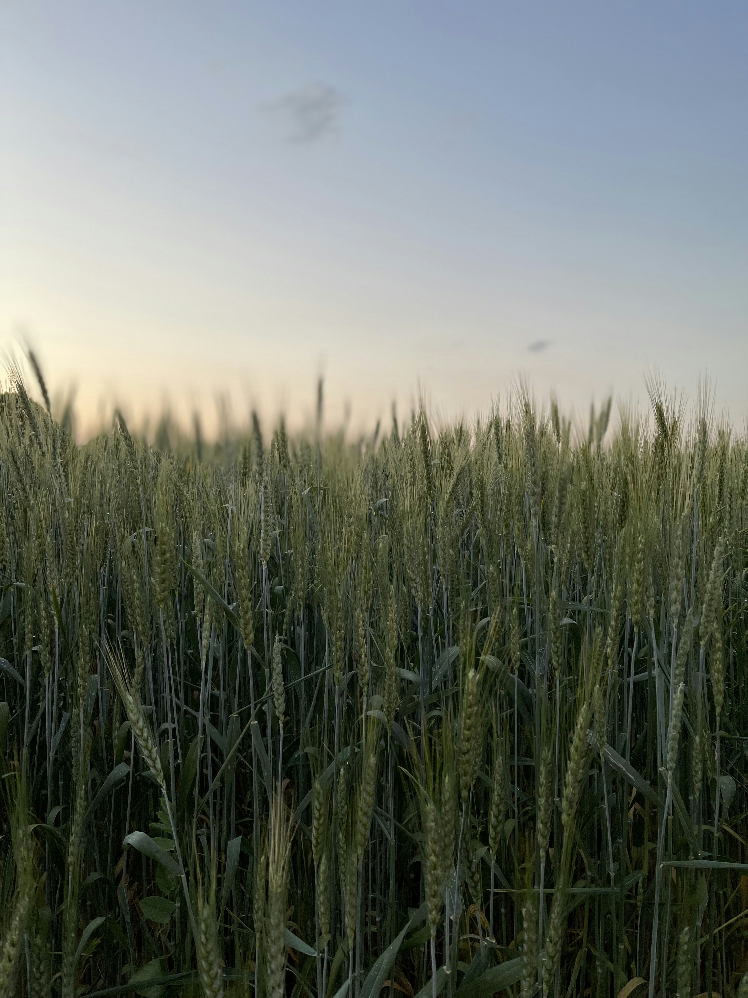 Photo by benmorethanden