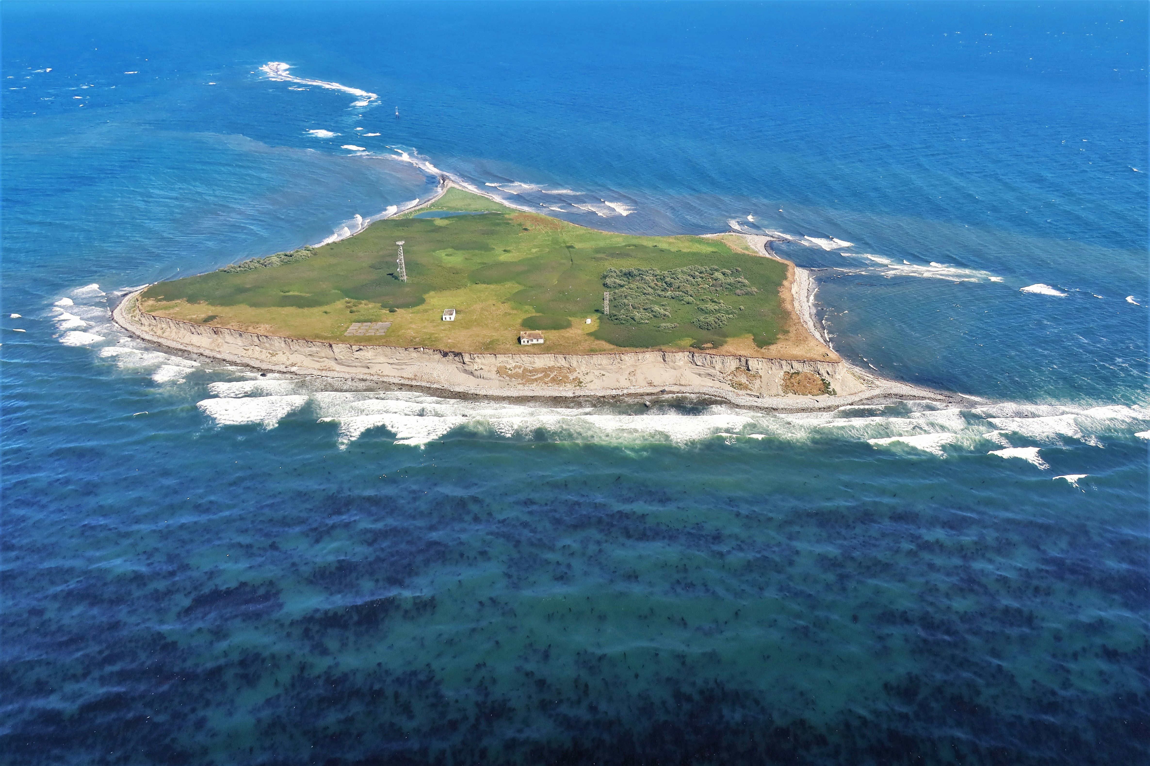 Photo by chrislinnett