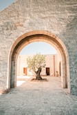 a tree in a stone archway