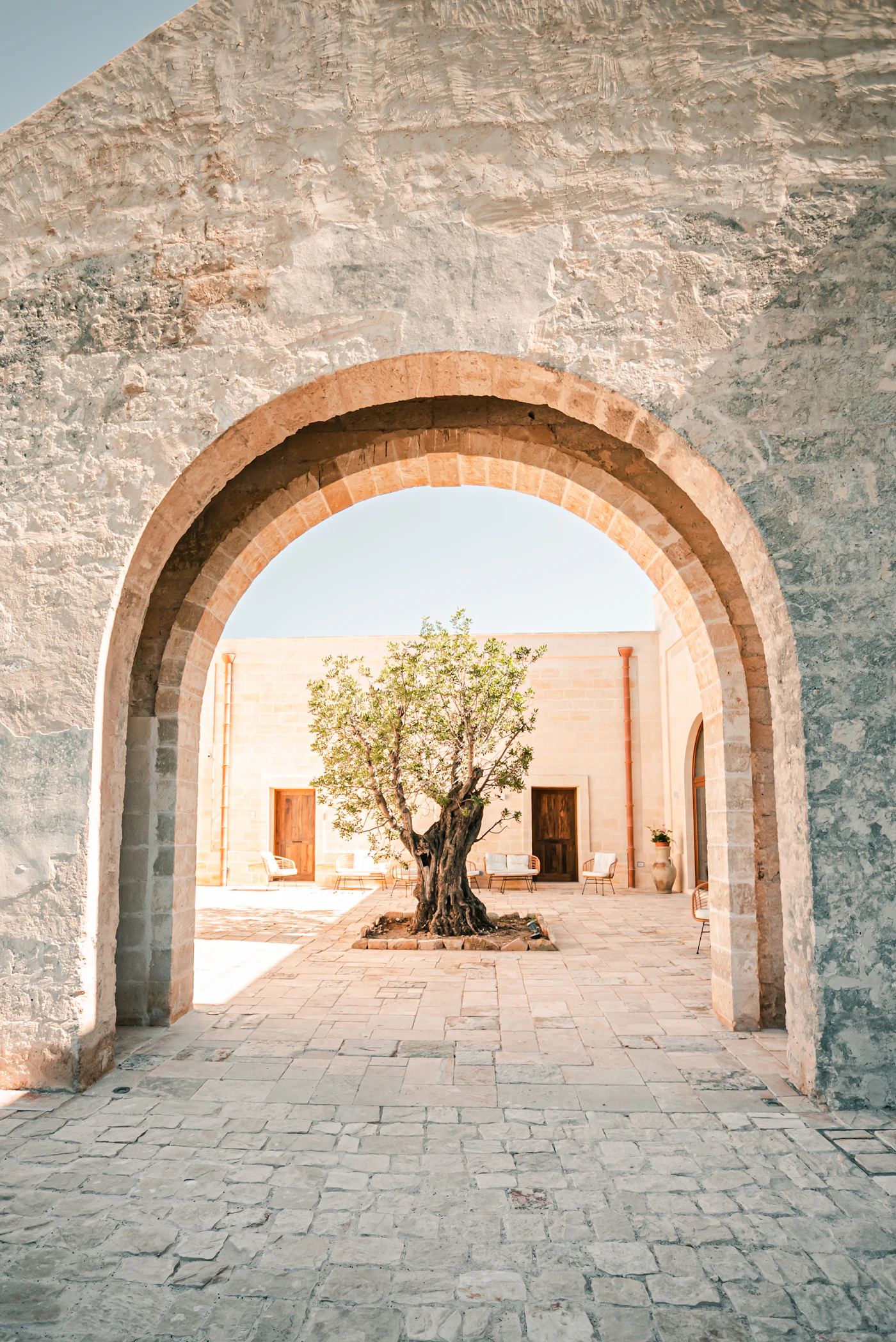 A tree framed by a pale stone archway