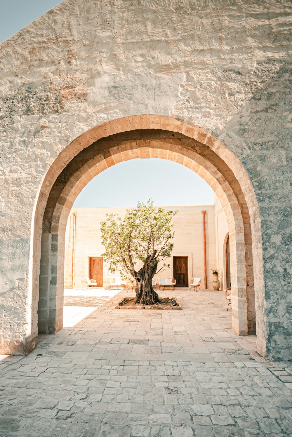 a tree in a stone archway