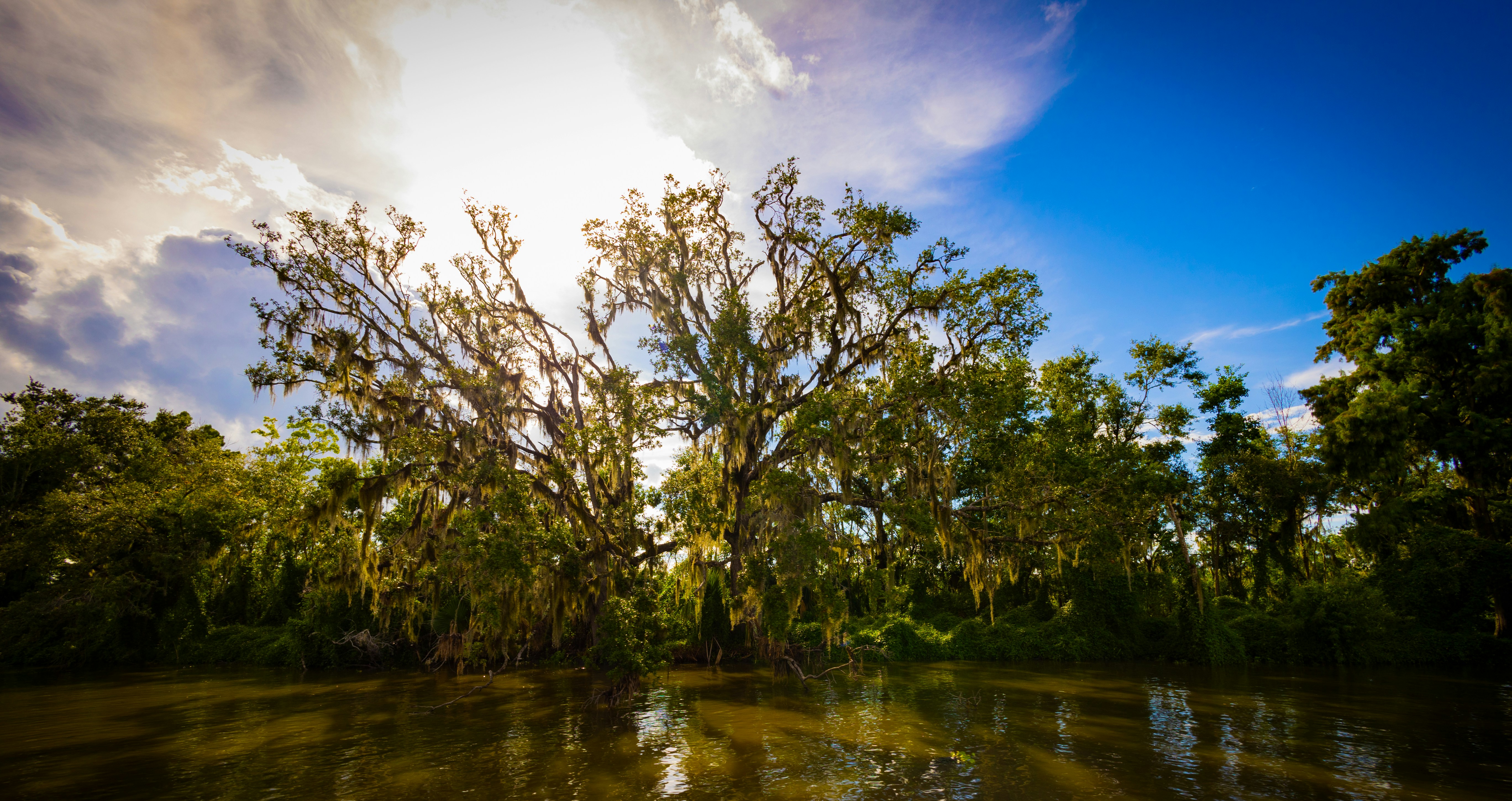 Photo by scottmay224