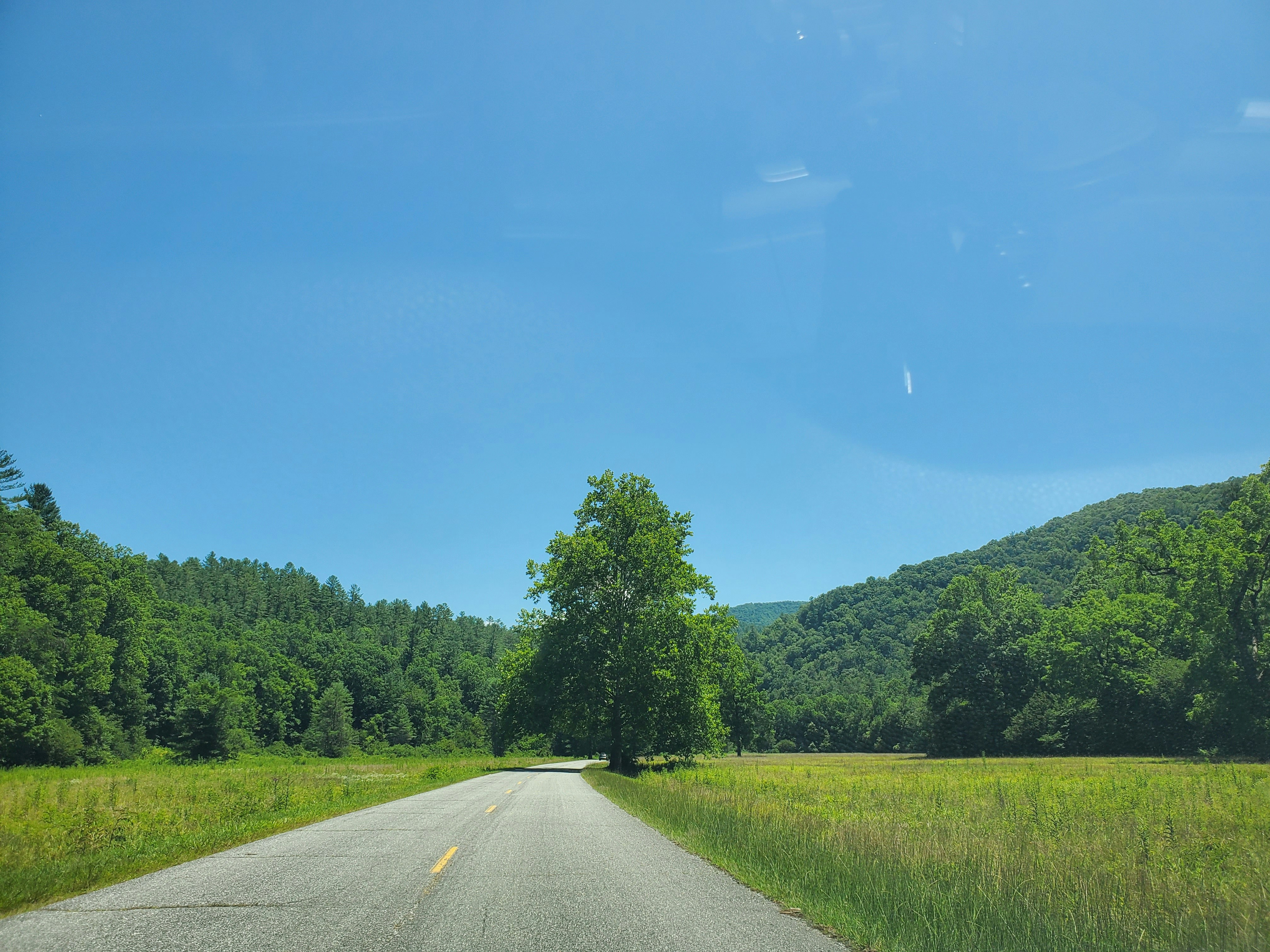 a road with trees on the side
