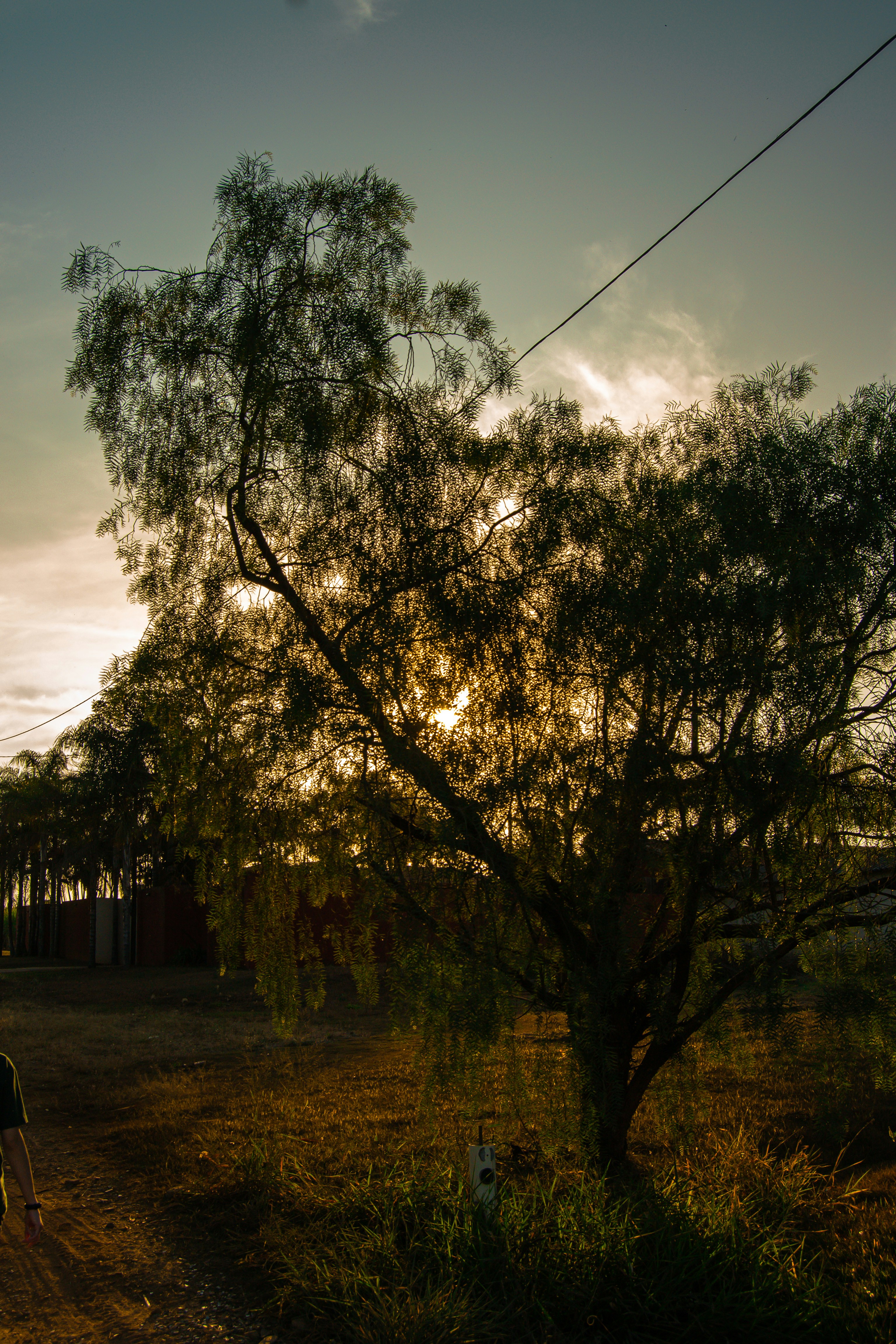 Photo by imfrazao